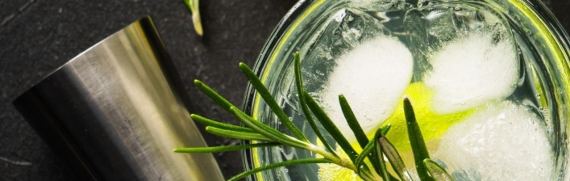 Gin Tasting Night