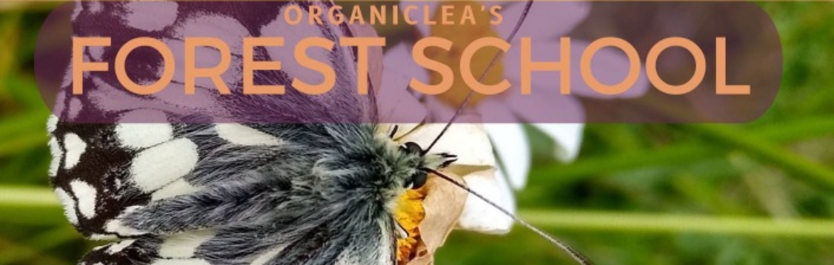 OrganicLea's Forest School Spring Term 25