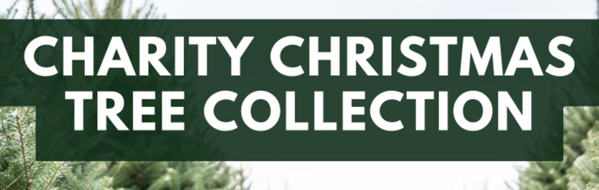 Princes Risborough Young Farmers Club Charity Christmas Tree Collection