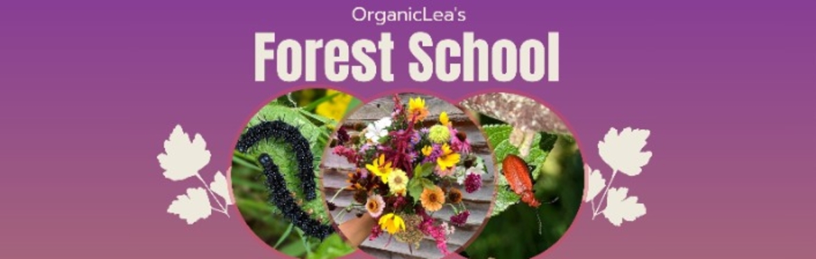 OrganicLea's Forest School SummerTerm 26