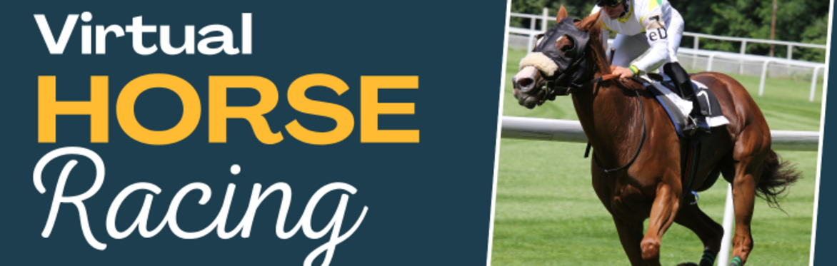 Charity Race Night Poster for the Event