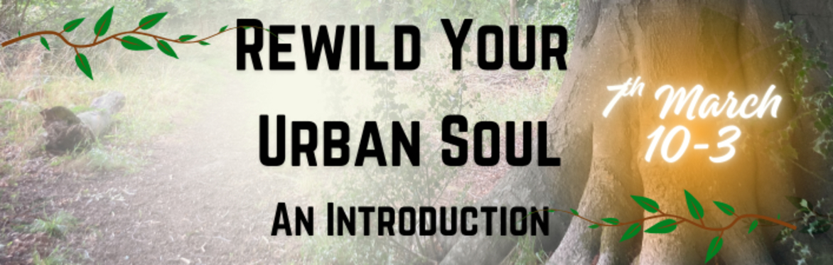 Rewild Your Urban Soul