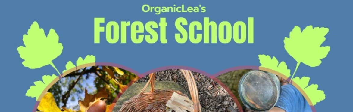 OrganicLea's Forest School Autumn 26
