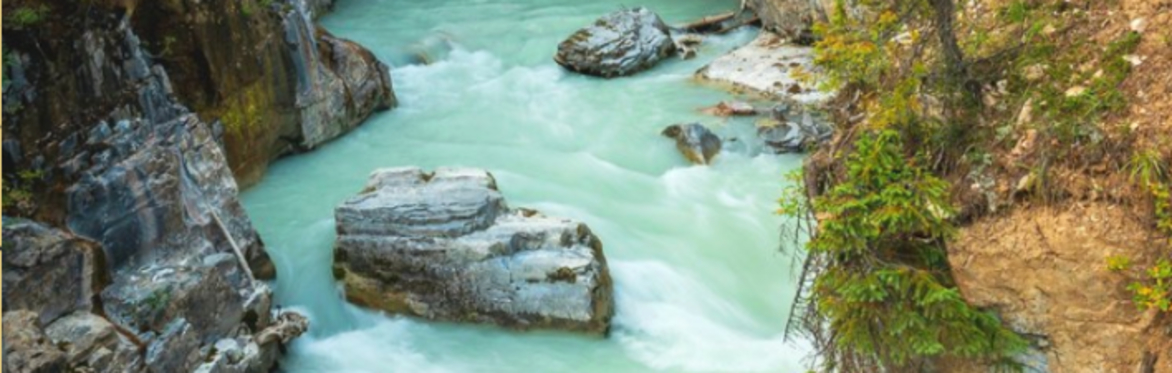 The Flow of Love - a Family Constellations Women's Retreat