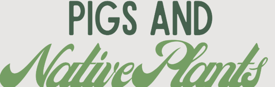 Pigs and Native Plants!