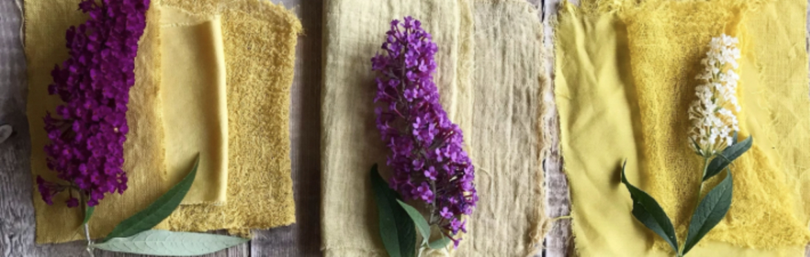 Natural Dyeing Workshop -Saturday 8th August