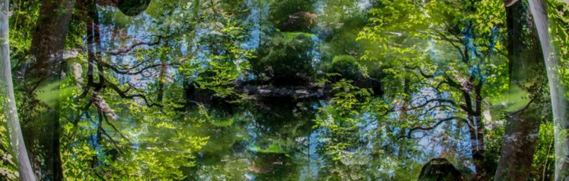 Avant Gardens 1: Ave
