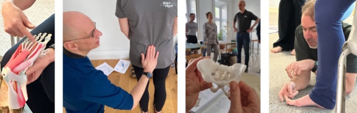 Understanding the Foot and Pelvis, with James Earls and Owen Lewis of Born to Move