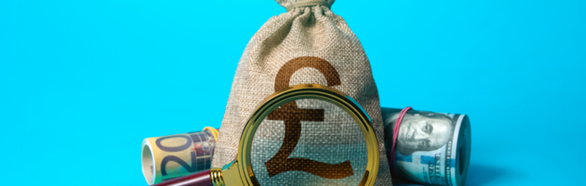 Money bag with a magnifying glass