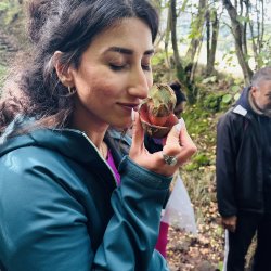 Weekday Woodland Foraging Walk