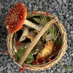 SOLD OUT Weekend Woodland Foraging Walk