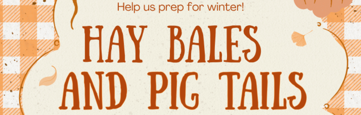 Hay Bales and Pig Tails