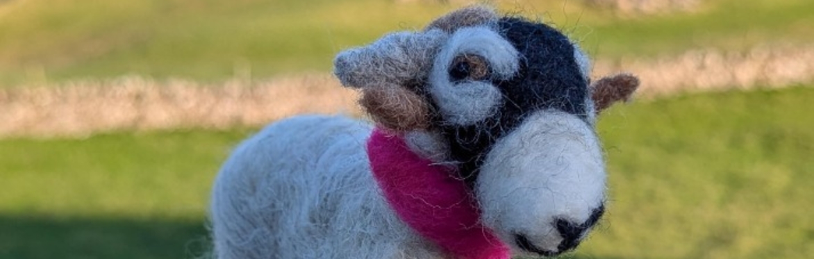 Needle Felting Sheep Workshop