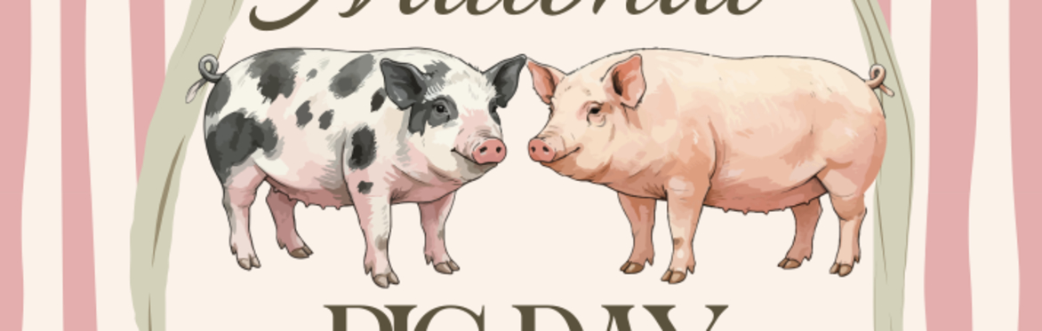 It's National Pig Day!