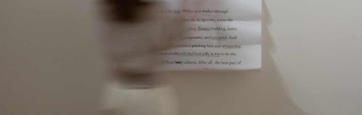 ERASURE POETRY: AUTUMN, TRANSITION AND FINDING MEANING IN CHANGE