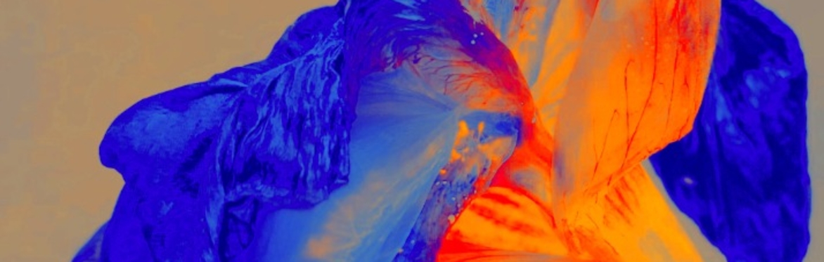 Artist In Conversation —  Cecilia Sordi Campos / Inciting Joy