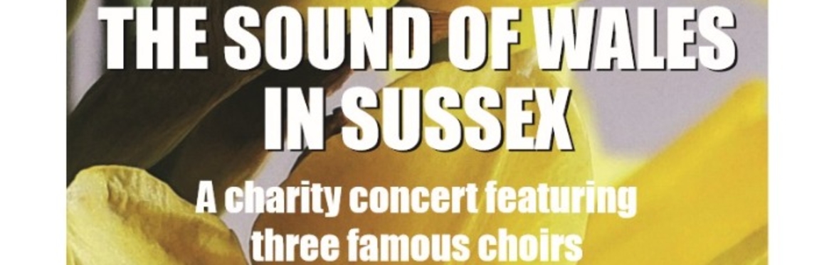 The Sound of Wales in Sussex