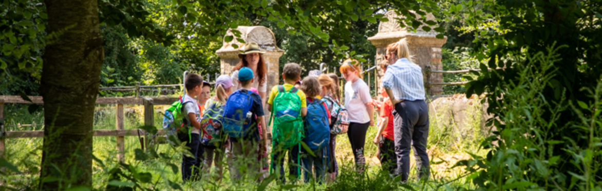 Wilderness Camp - Easter/Cáisc - Osberstown, Sallins