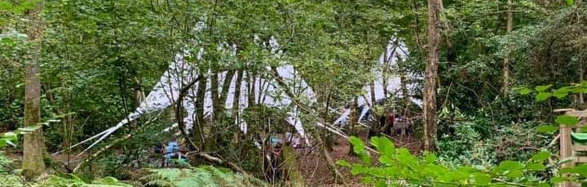 Two beautiful white canopies set in a woodland under trees and surrounded by greenery