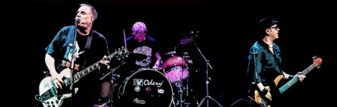 XSLF (Stiff Little Fingers) + support
