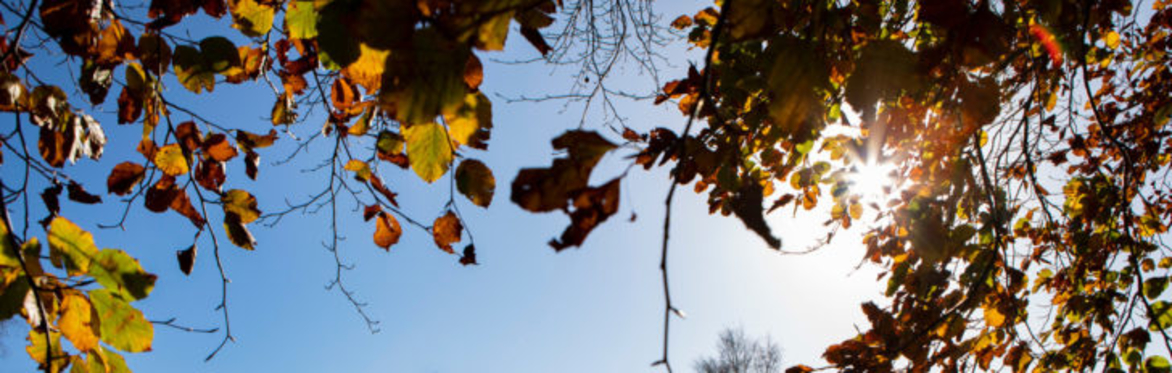 Autumn Harvest Afternoon Retreat with Alexandra Jones & Angie Latham