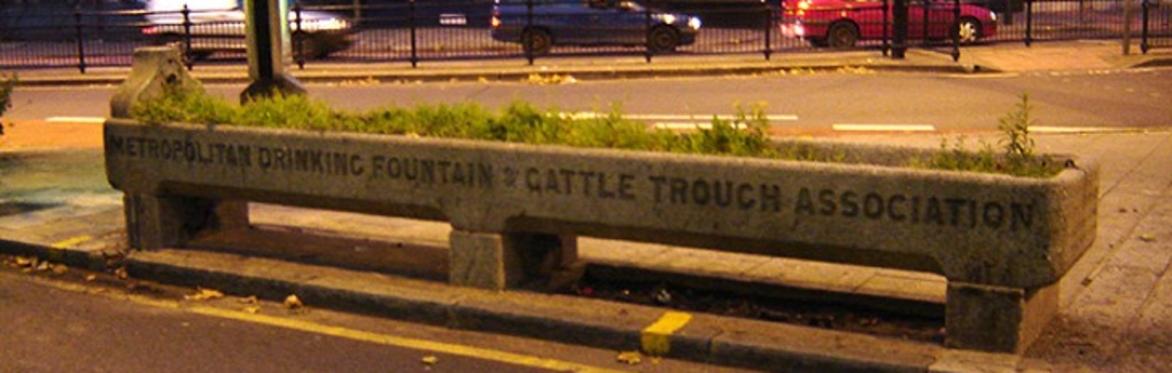 Hackney Society: Lauriston Road Drinking Trough Recording and Guided Tour