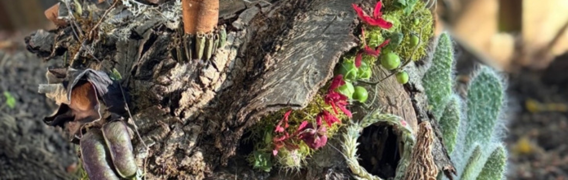 Woodland Fairy Houses — A Nature Art Workshop with Françoise Weeks