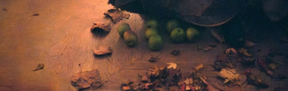 SAMHAIN Witches Are Wise Women