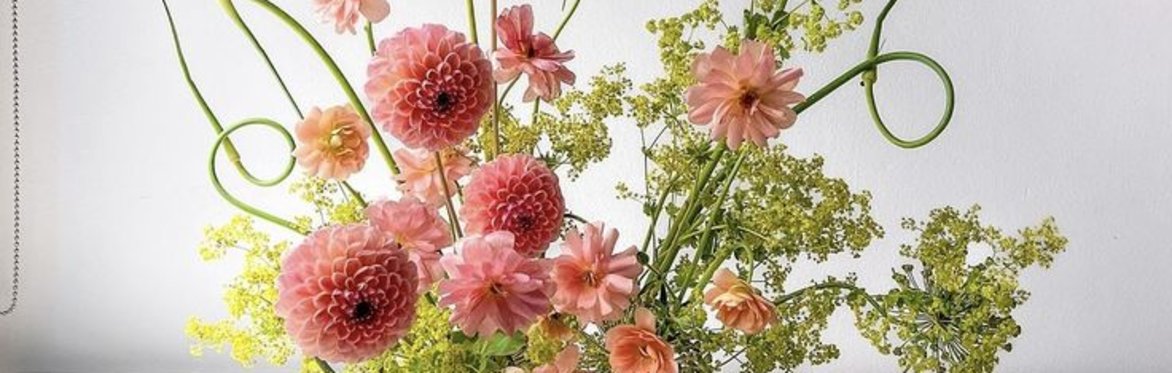 July 19 | Welcome Summer Workshop | Bloom Mirage