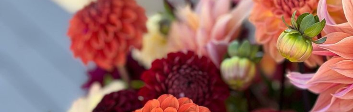 AUG 16 | Flower Design Workshop | Dahlia Party