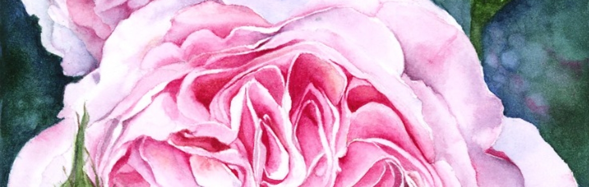 Watercolour painting flowers