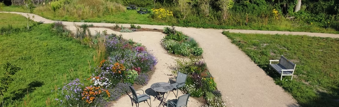 Wellbeing in nature for unpaid carers