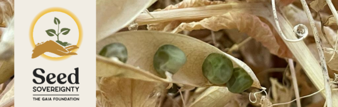 Introduction to Seed Saving in Scotland Training