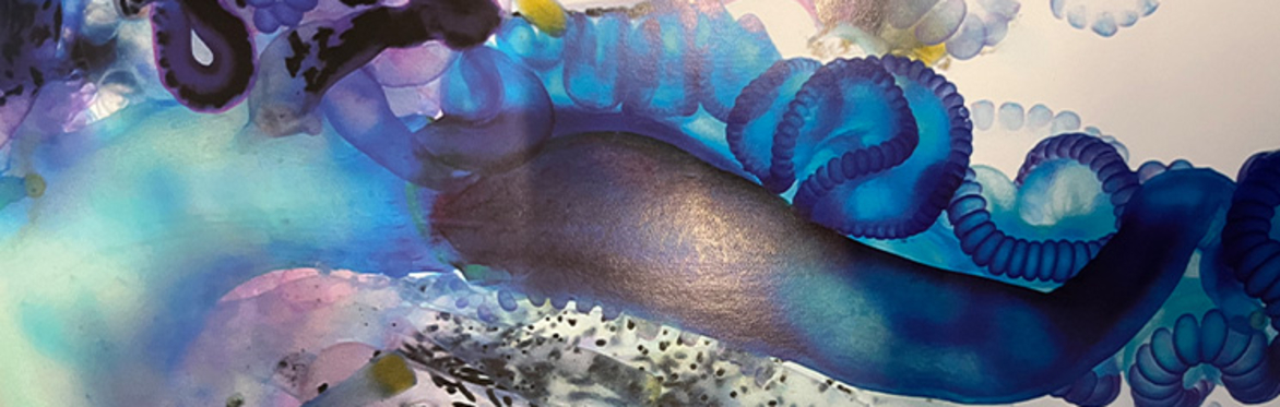 Youth Ecology Art Expressions of Interest