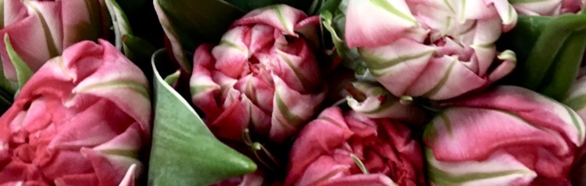 Galentine’s Hand Tied Bouquet Workshop