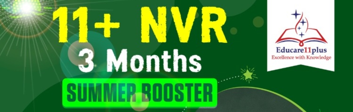 3 MONTHS - NON VERBAL REASONING ONLINE SUMMER BOOSTER (FEES £200)