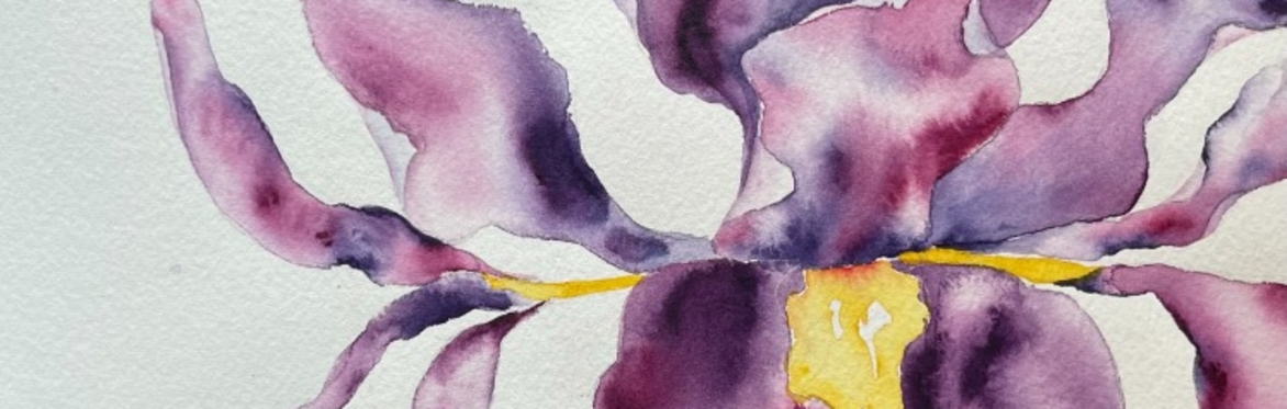 Class | Art with Dana Childs | Flowing Iris Watercolor Class