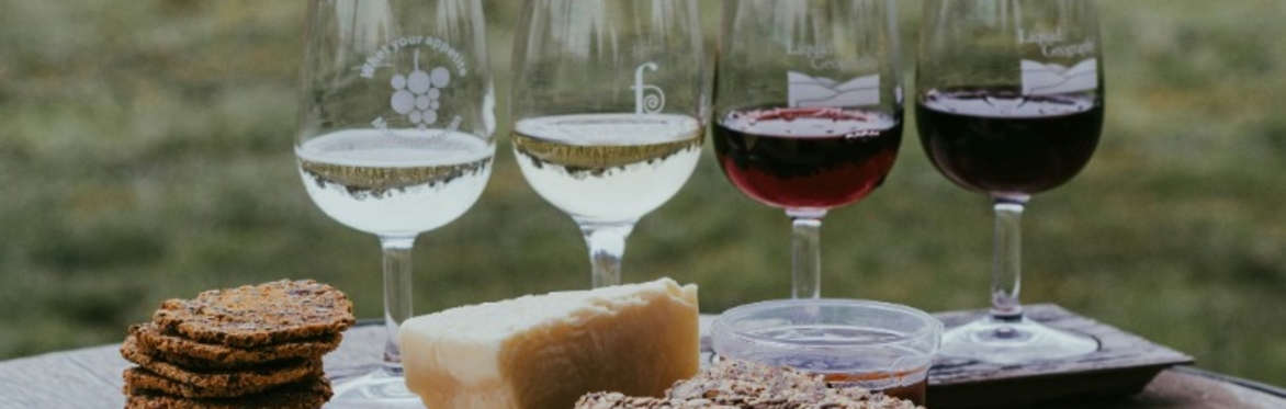 BJC Wine Club - Le Vignoble