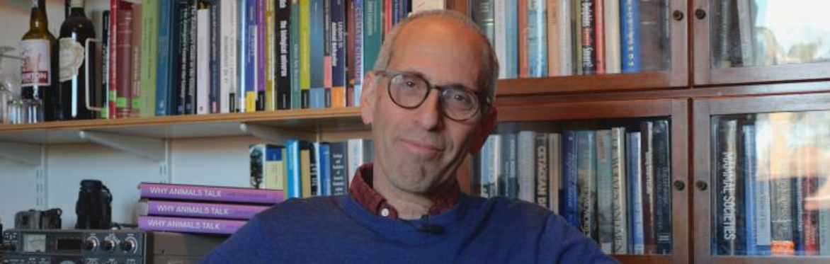 Would It Ever Be Possible to Talk to Animals? With Dr Arik Kershenbaum