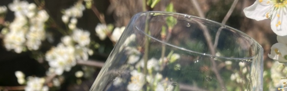 Seasonal food and wine tasting: Spring