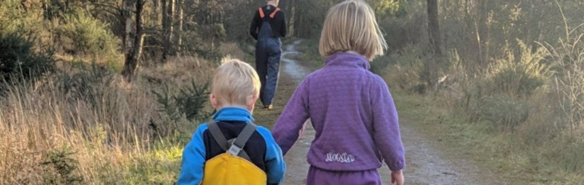 6 Week Toddler Forest School