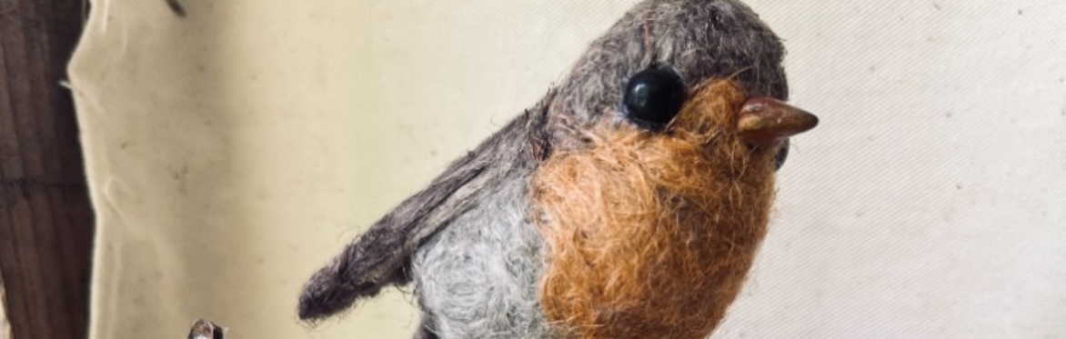 Robin Redbreast