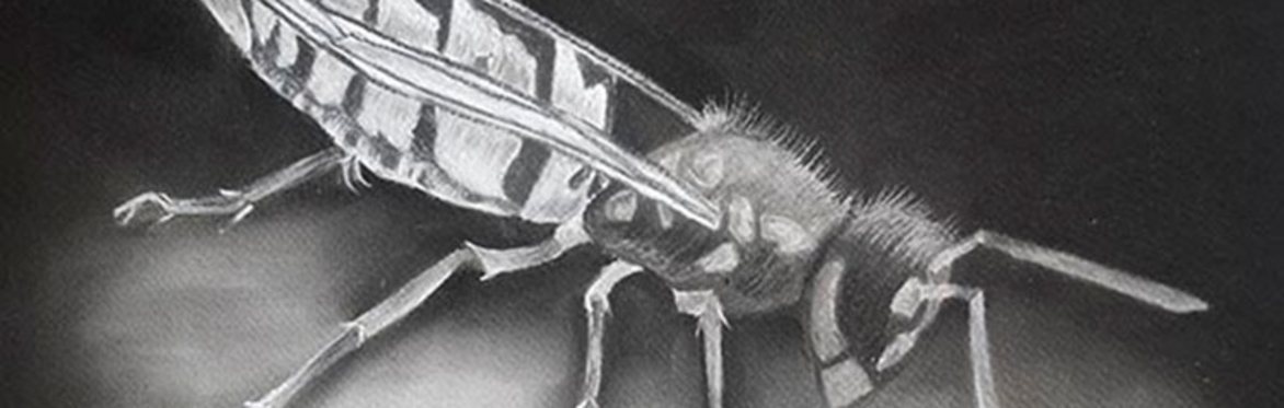 Drawing & Painting Workshops - Core Skills: Shading, Light and Chiaroscuro