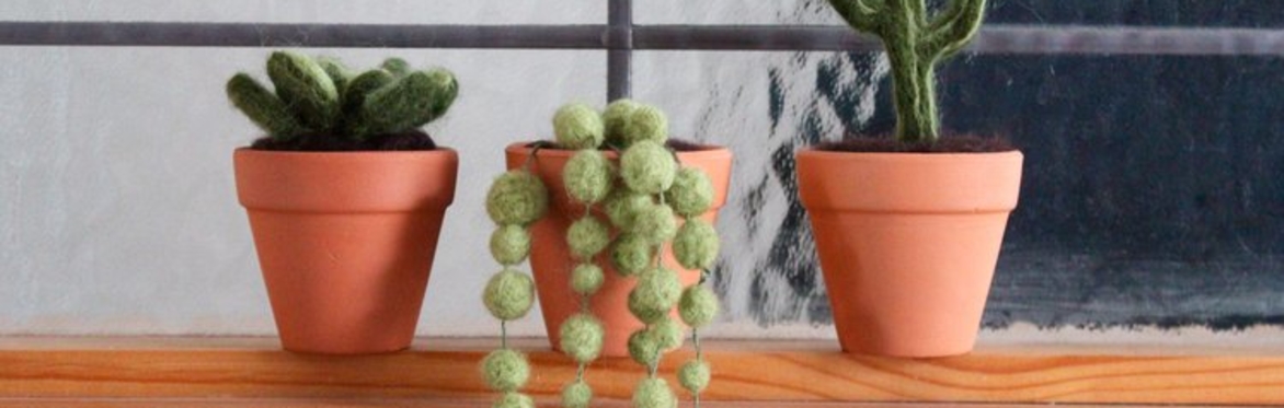 Needle Felted Succulents