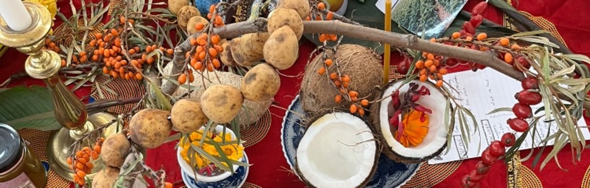 Tending to the Compost: Cultivating a Consciousness and Embodied Relationship with the Garden