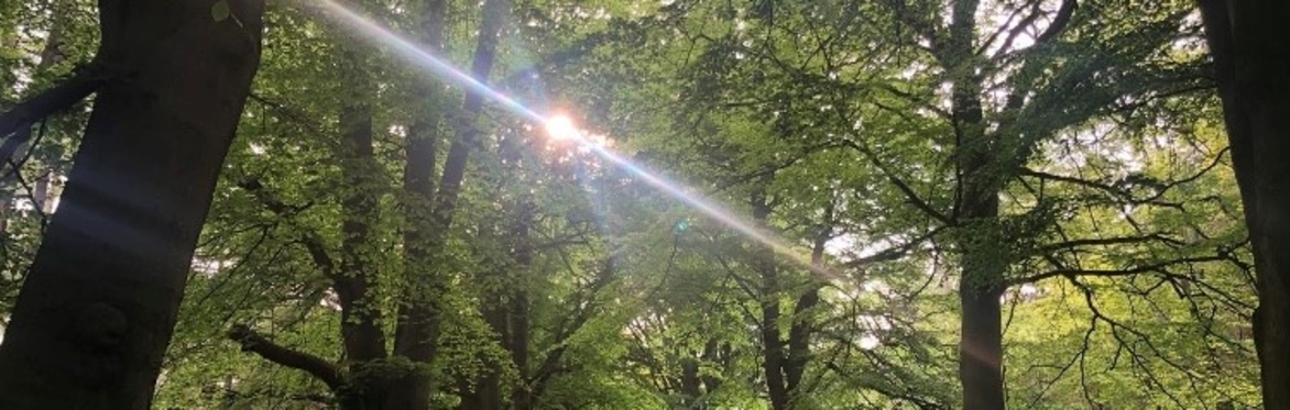 Summer Solstice
