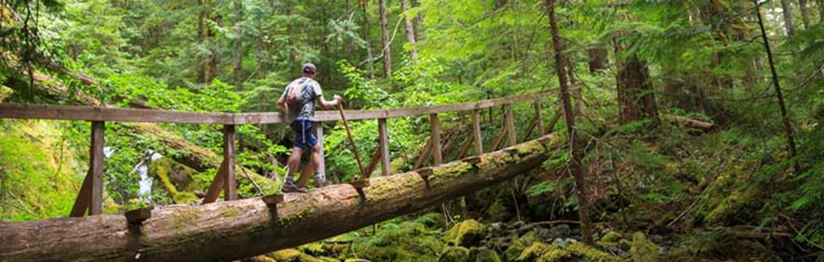 Eventide Project Open Source Summit - Vancouver Island - September 5th - 7th
