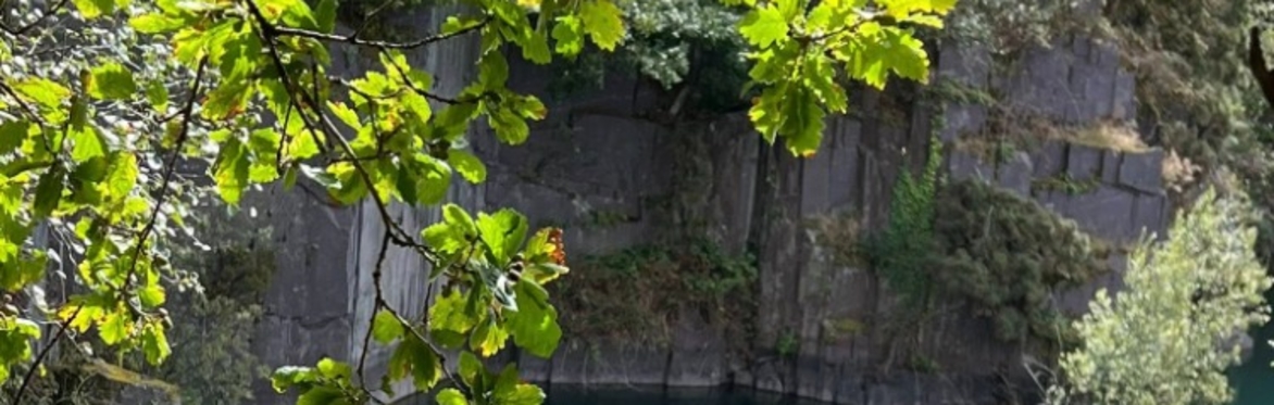 Late Summer Elemental Wellbeing Day Retreat at Trigonos