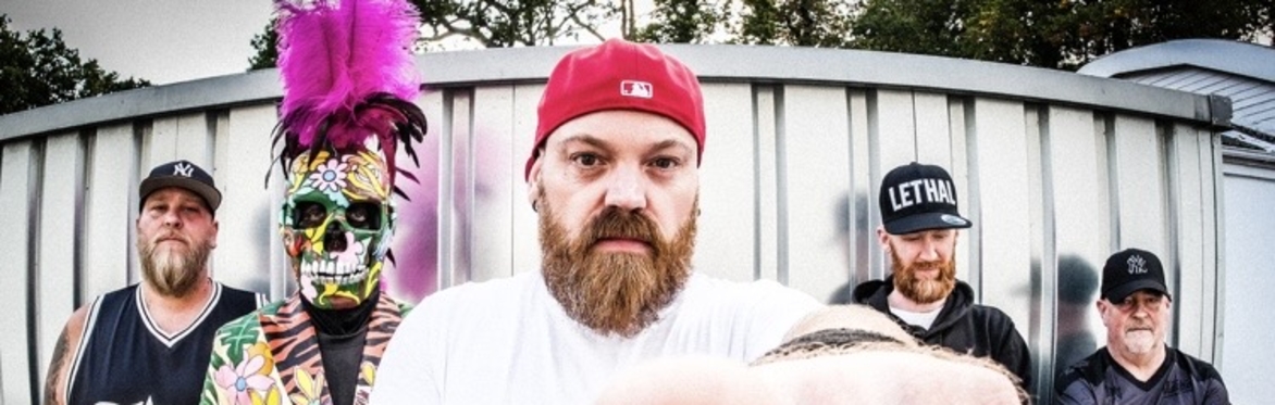 A celebration of Limp Bizkit: Limped Bizkit