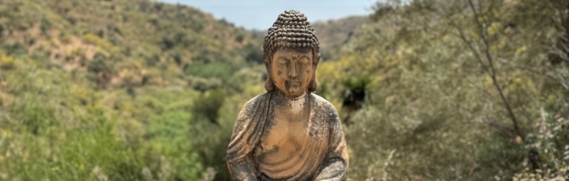 Santillan Retreat November  2025